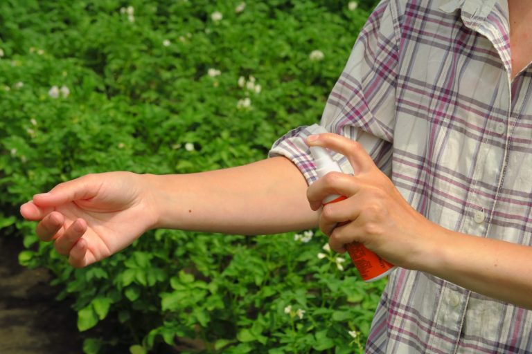 Personne appliquant avec prĂ©caution un barrage Ă insectes autour dâune fenĂȘtre.